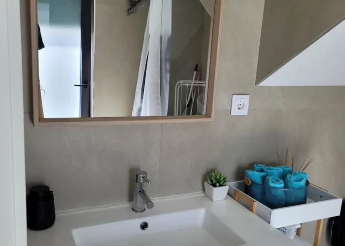 Moliceiro House Apartment