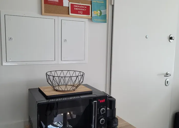 Moliceiro House Apartment *