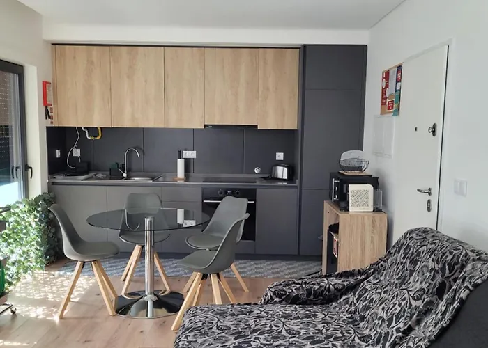 Apartment Moliceiro House