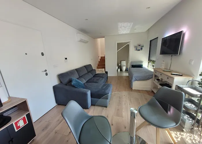 Apartment Moliceiro House Aveiro