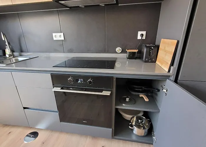 Apartment Moliceiro House Aveiro